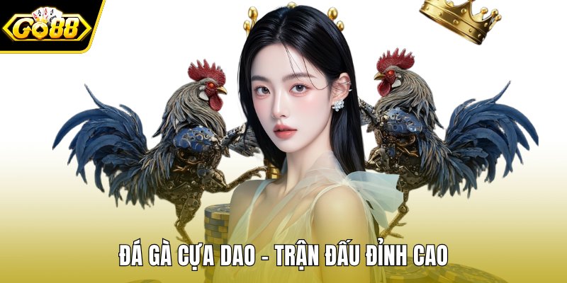 Đá gà cựa dao