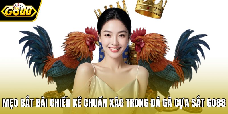 đá gà cựa sắt