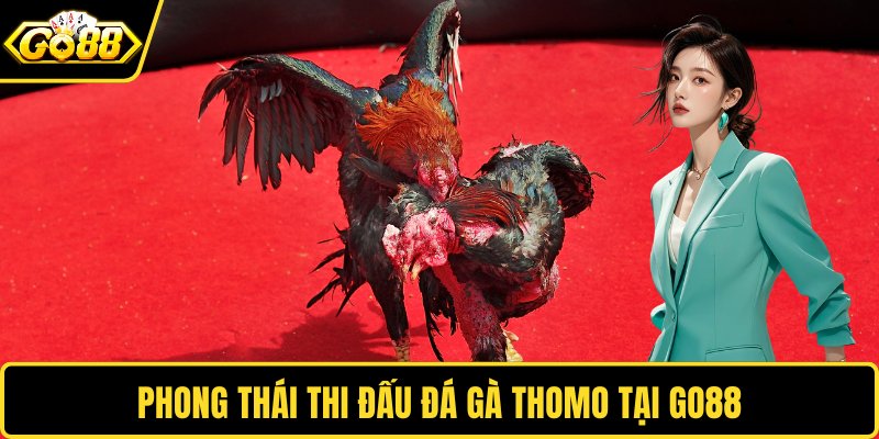 Phong thái thi đấu đá gà Thomo tại GO88