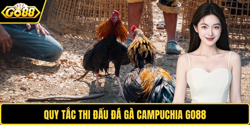 Quy tắc thi đấu đá gà Campuchia GO88