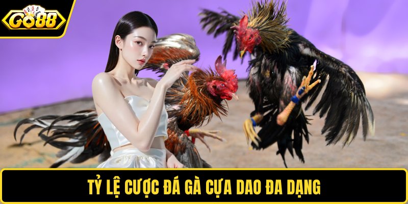 Tỷ lệ cược đá gà cựa dao đa dạng